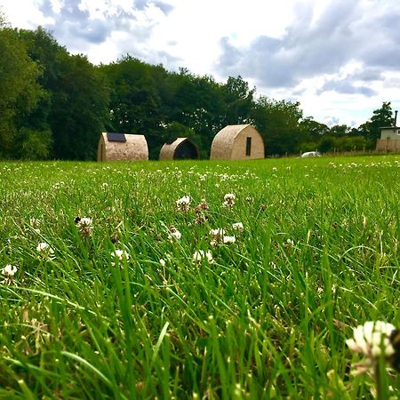 Alder Pod, Clay Bank Huts Hotel Ingleby Greenhow ภายนอก รูปภาพ