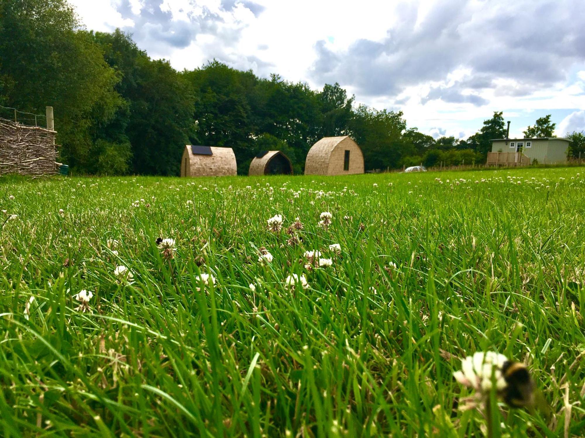 Alder Pod, Clay Bank Huts Hotel Ingleby Greenhow ภายนอก รูปภาพ